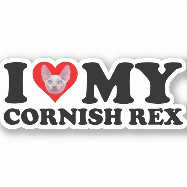 Ich liebe (Herz) meine Cornish Rex Aufkleber (Vorderseite)