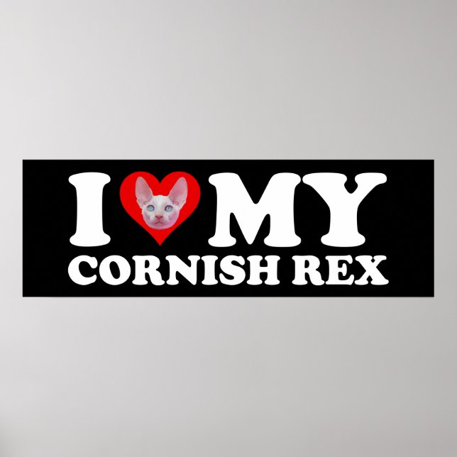 Ich liebe (Herz) meine Cornish Rex Poster (Vorne)