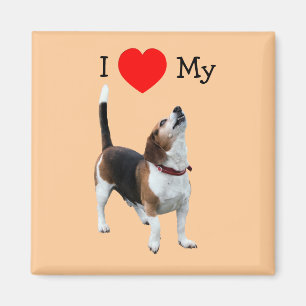 Ich Liebe Herz meinem Beagle Dog Magnet