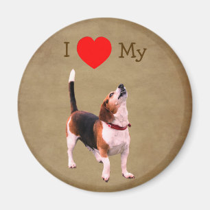 Ich liebe Herz meinen Beagle Hund Magnet