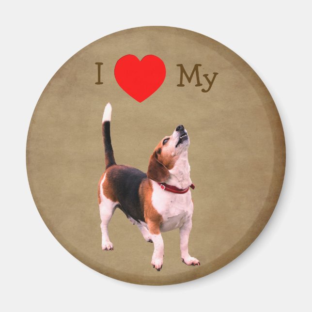 Ich liebe Herz meinen Beagle Hund  Magnet (Vorne)