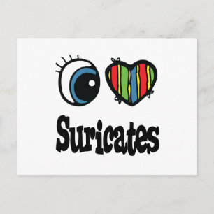Ich liebe (Herz) Surikaten Postkarte