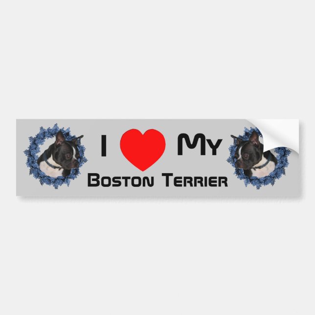 Ich Liebe höre meine Boston Terrier Autoaufkleber (Vorne)