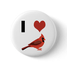 Ich liebe Kardinäle