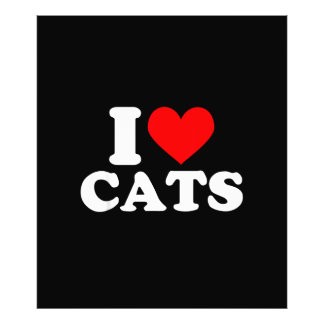 Ich liebe Katzen - Ich liebe Katzen Ich liebe Katz Fotodruck