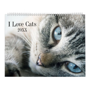 Ich liebe Katzen Kalender