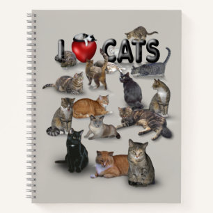 Ich liebe Katzen 😻 Notizbuch