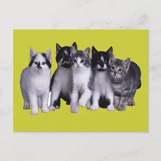 Ich Liebe Katzen von Junglewalk.com Postkarte (Vorderseite)