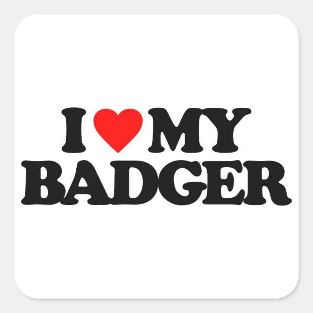 ICH LIEBE MEIN BADGER QUADRATISCHER AUFKLEBER (Vorderseite)