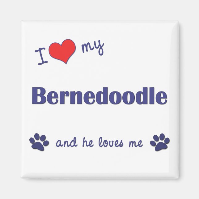 Ich Liebe mein Bernedoodle (Männerhund) Magnet (Vorne)