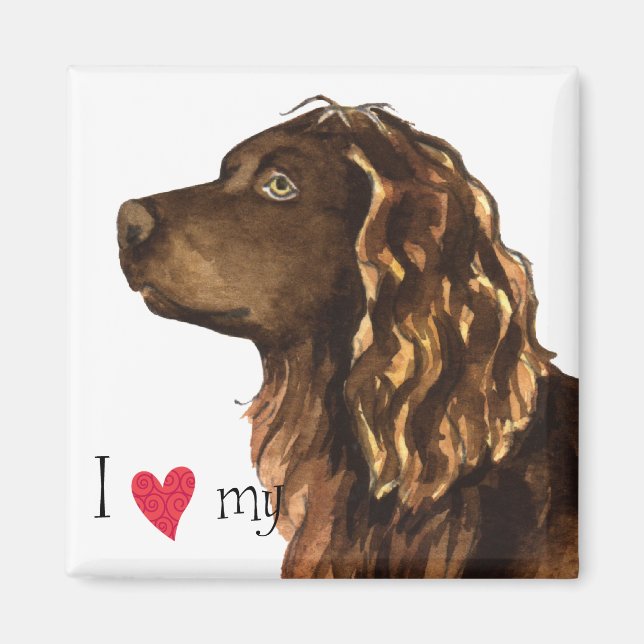 Ich Liebe mein Boykin Spaniel Magnet (Vorne)