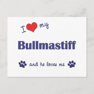 Ich Liebe mein Bullmastiff (Männlicher Hund) Postkarte