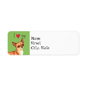Ich Liebe mein Chihuahua