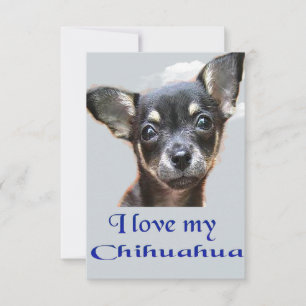 Ich Liebe mein Chihuahua Dankeskarte