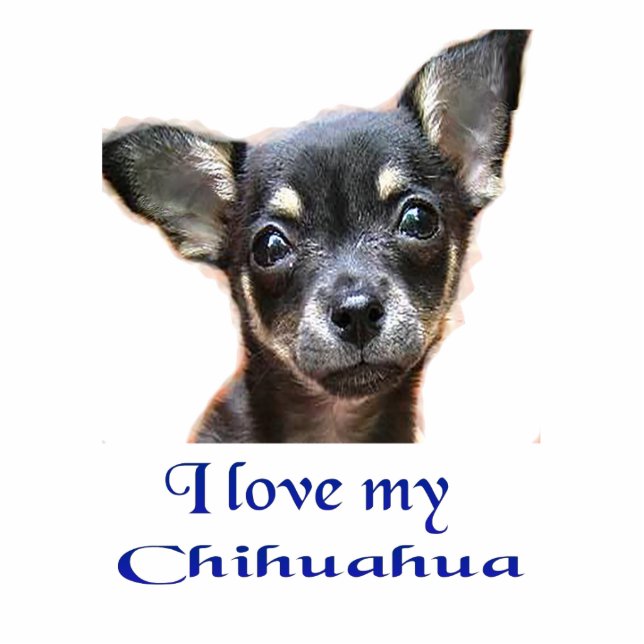 Ich Liebe mein Chihuahua Fotoskulptur Schlüsselanhänger (Vorne)