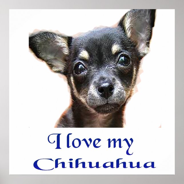 Ich Liebe mein Chihuahua Poster (Vorne)
