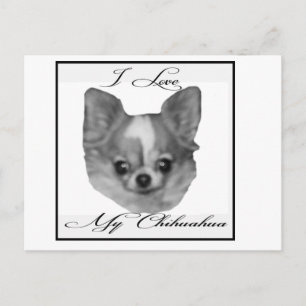 Ich Liebe mein Chihuahua Postkarte