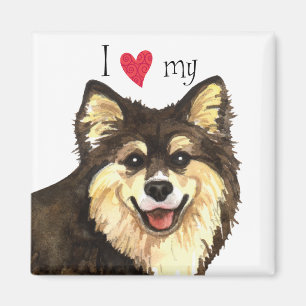 Ich Liebe mein finnisches Lapphund Magnet