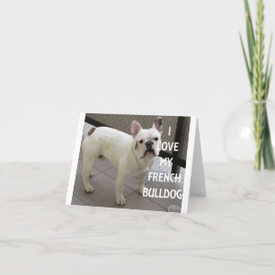 Ich Liebe mein Französischer Bulldog Dankeskarte