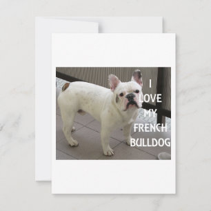 Ich Liebe mein Französischer Bulldog Feiertagskarte