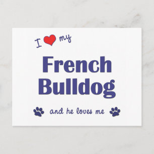 Ich Liebe mein Französischer Bulldog (Männerhund) Postkarte