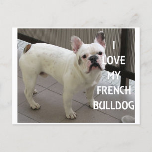 Ich Liebe mein Französischer Bulldog Postkarte
