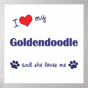 Ich Liebe mein Goldendoodle (weiblicher Hund) Post Poster