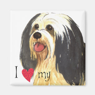 Ich Liebe mein Havanese Magnet