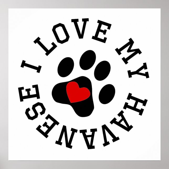 Ich Liebe mein Havanese Poster (Vorne)