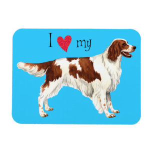 Ich Liebe mein Irisch Rot und Weiß Setter Magnet