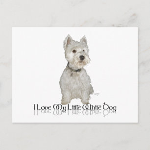 Ich Liebe mein kleiner weißer Hund - Westie Postkarte
