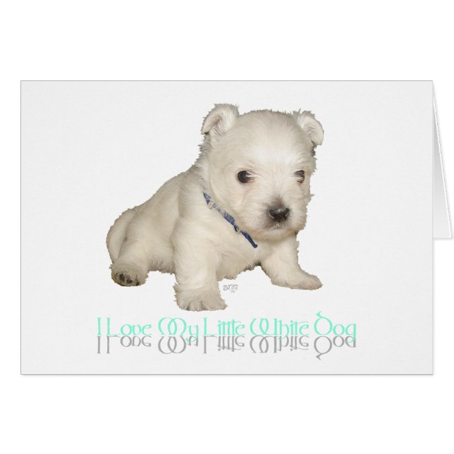 Ich Liebe mein kleiner weißer Hund - Westie Welpe (Vorderseite (Horizontal))