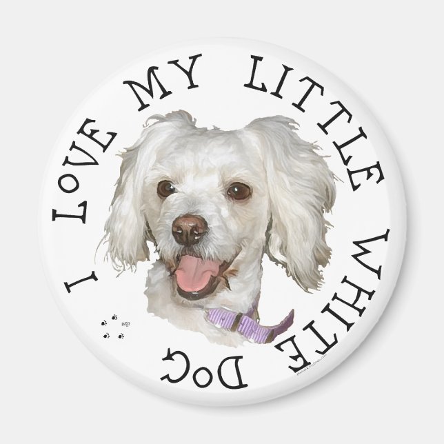 Ich Liebe mein kleines weißes Dog Poodle / Bichon  Magnet (Vorne)