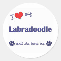 Ich Liebe mein Labradoodle (Weiblicher Hund)