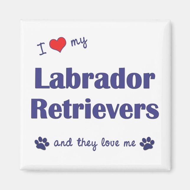 Ich Liebe mein Labrador Retrievers (mehrere Hunde) Magnet (Vorne)