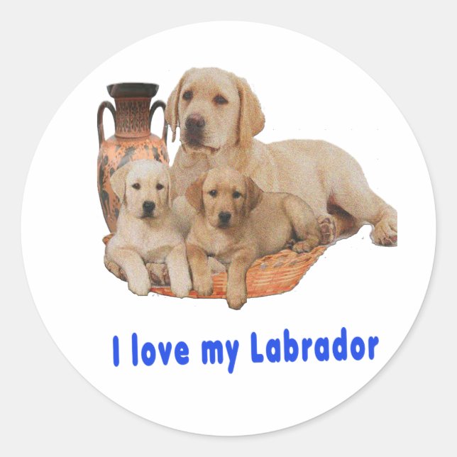 Ich Liebe mein Labrador Runder Aufkleber (Vorderseite)