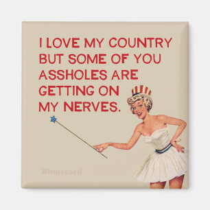 Ich Liebe mein Land...aber....... Magnet