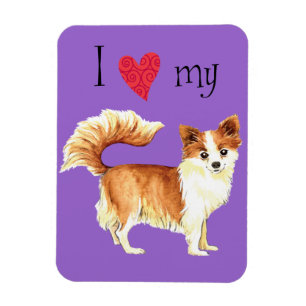 Ich Liebe mein Long Coat Chihuahua Magnet