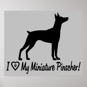 Ich Liebe Mein Miniaturpinscher in der Silhouette Poster