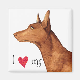 Ich Liebe mein Pharaoh Hound Magnet