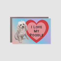 Ich Liebe mein Poodle