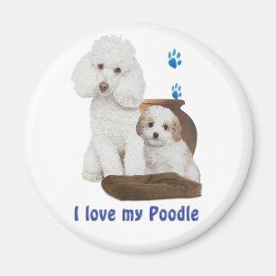Ich Liebe mein Poodle Magnet
