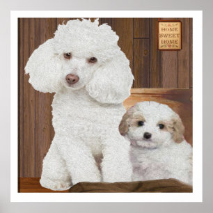 Ich Liebe mein Poodle Poster