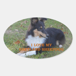 Ich Liebe mein Shetland Sheepdog Black Tri Ovaler Aufkleber