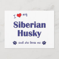 Ich Liebe mein sibirischer Husky (weiblicher Hund)