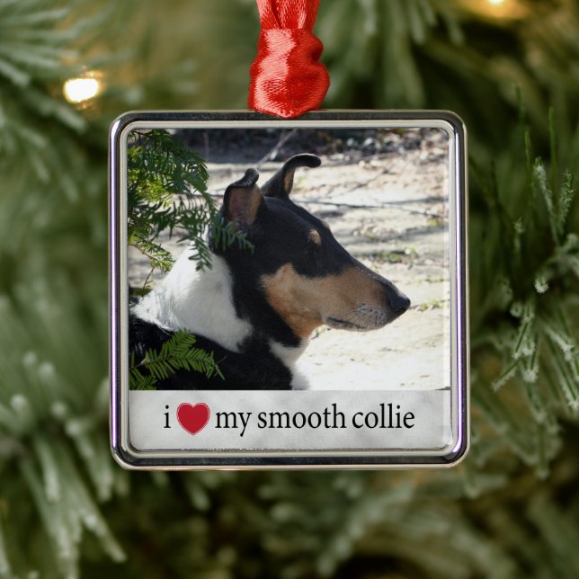 Ich Liebe mein Smooth Collie Foto Weihnachten Ornament Aus Metall (Baum)