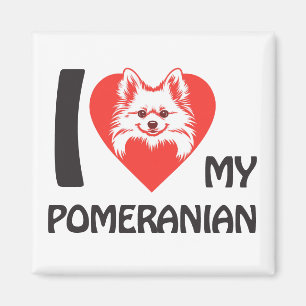 Ich Liebe mein Spitz - Niedliche Fluffy Dog Lover  Magnet