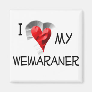 Ich Liebe mein Weimaraner Magnet