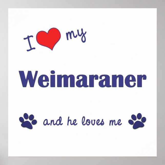 Ich Liebe mein Weimaraner (Männerhund) Poster (Vorne)