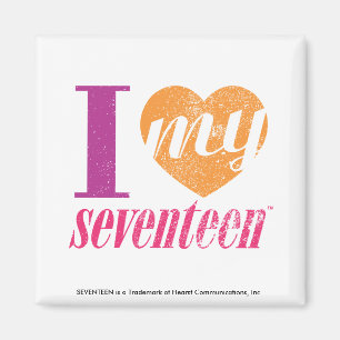 Ich Liebe meine 17 Orange Magnet